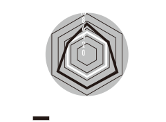 TYPE-S グラフ